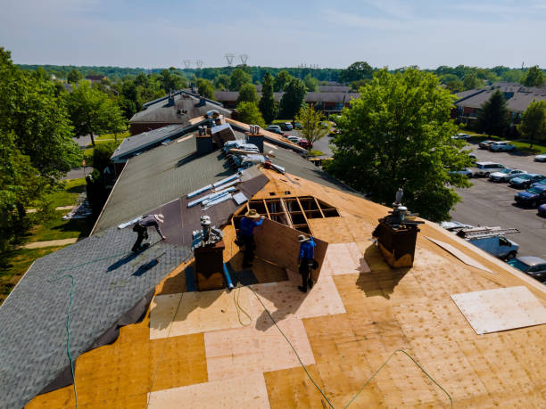 Best Commercial Roofing Services  in Grosse Pointe Park, MI