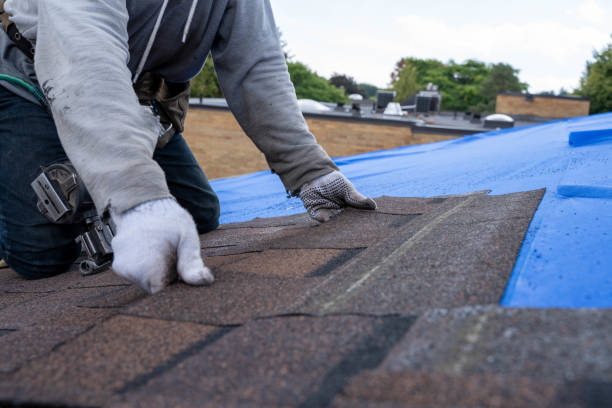 Trusted Grosse Pointe Park, MI Roofing Contractor Experts