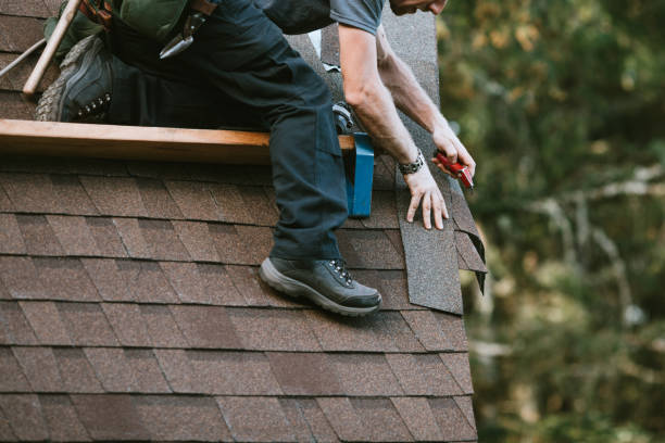 Best Shingle Roofing Installation  in Grosse Pointe Park, MI